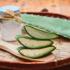 Tranches d'aloe vera sur une cuillère en bois, prêtes à soulager un coup de soleil. Gel d'aloe vera dans un pot à côté.