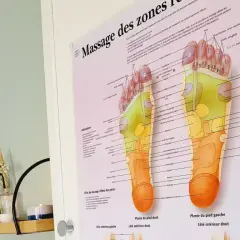 Carte des zones réflexes du pied, illustrant la zone des pieds et ses correspondances avec le corps.