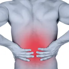 Douleur dans le bas du dos, zone rouge sur le muscle longissimus. Homme tenant ses reins.