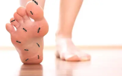 Un pied est envahi par des fourmis, créant une sensation de fourmillement.