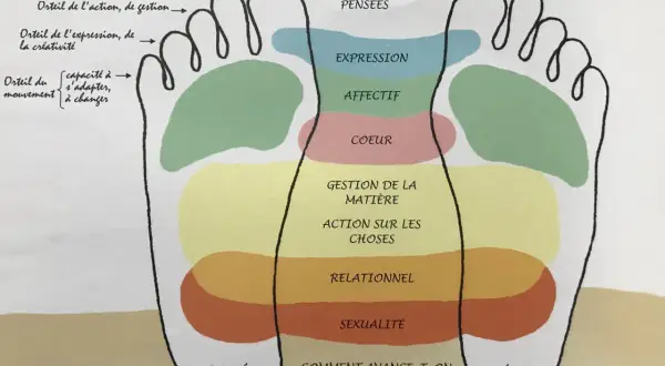 Schéma des zones du pied, de la zone voute plantaire aux orteils, associant chaque partie à des aspects de la vie : pensée, expression, cœur, gestion, relationnel, sexualité.
