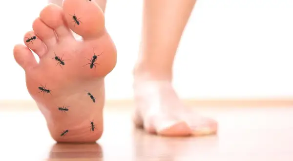 Un pied est envahi par des fourmis, créant une sensation de fourmillement.