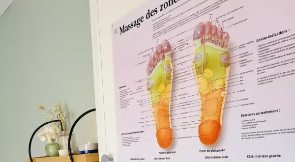 Carte des zones réflexes du pied, illustrant la zone des pieds et ses correspondances avec le corps.