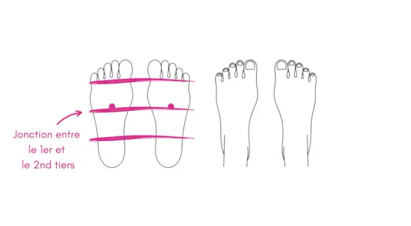 Schéma des pieds montrant un point d'énergie sur la jonction entre le 1er et le 2ème tiers.
