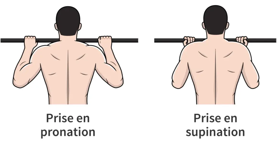 Comparaison des prises pronation et supination pour la traction. Attention à la douleur épaule traction, la prise supination peut être plus douce.