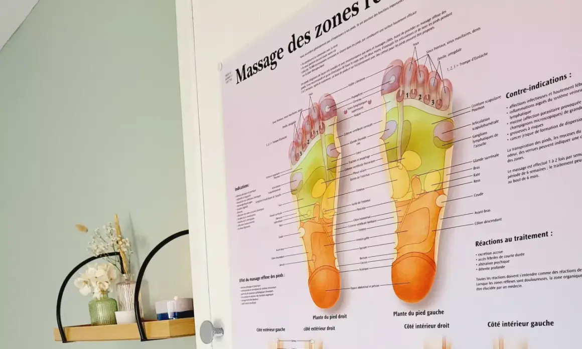 Carte des zones réflexes du pied, illustrant la zone des pieds et ses correspondances avec le corps.