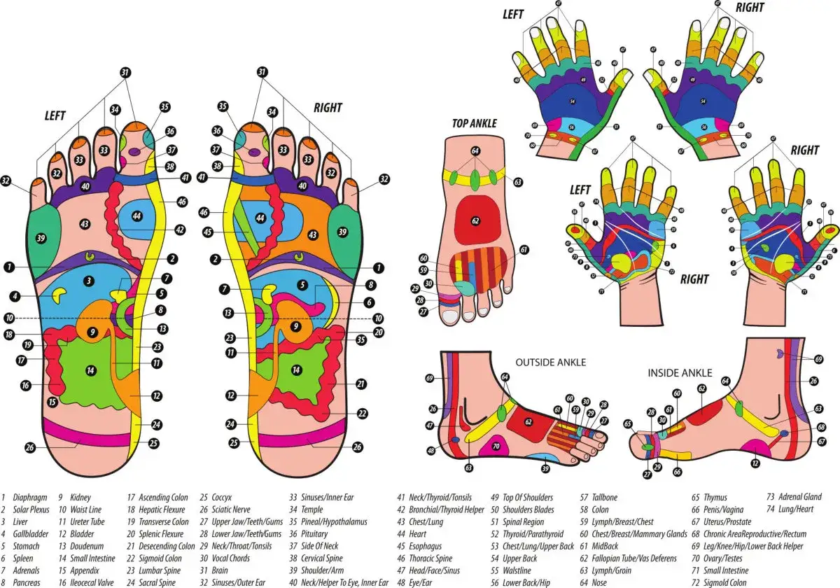 Carte des points de massage du pied pour dormir. Points réflexes pour le bien-être et le sommeil.