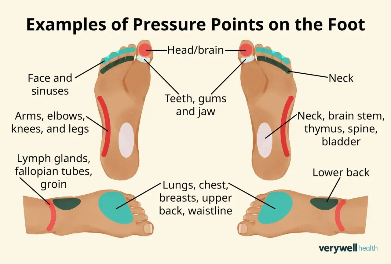 Cartographie des points de pression sur le pied pour un massage poed. Indique les zones pour la tête, le visage, les bras, les poumons et plus.