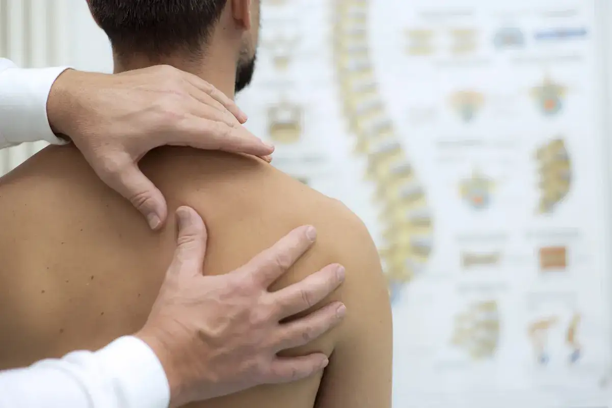 Mains expertes prodiguant un massage omoplate, soulageant la tension. Au fond, un sch&eacute;ma anatomique du corps humain.