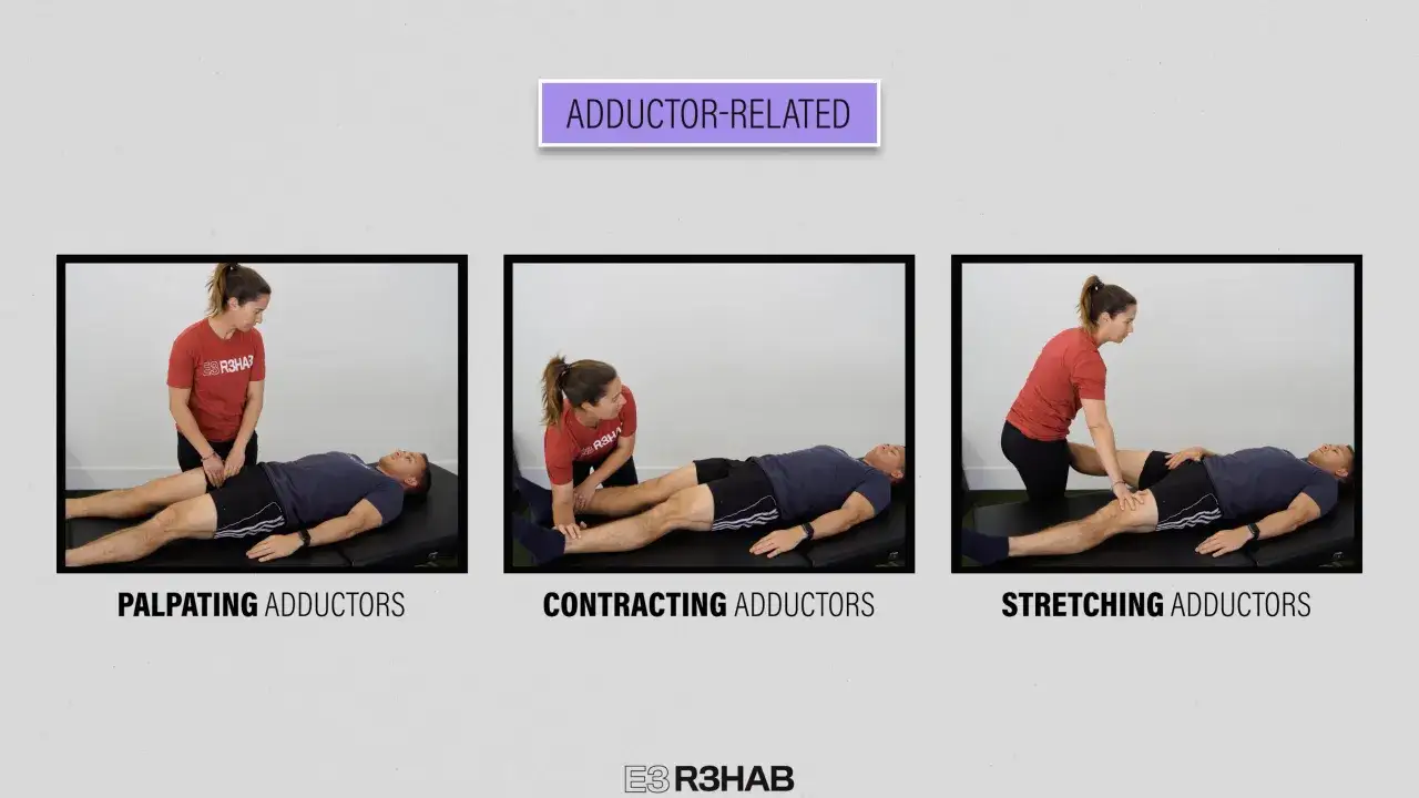 Trois images montrent des exercices pour les adducteurs : palpation, contraction et &eacute;tirer adducteur.