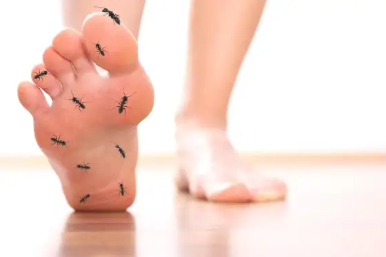 Fourmillement au pied - causes, alertes et gestes utiles