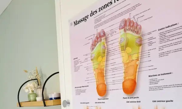 Carte des zones réflexes du pied, illustrant la zone des pieds et ses correspondances avec le corps.
