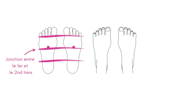 Schéma des pieds montrant un point d'énergie sur la jonction entre le 1er et le 2ème tiers.